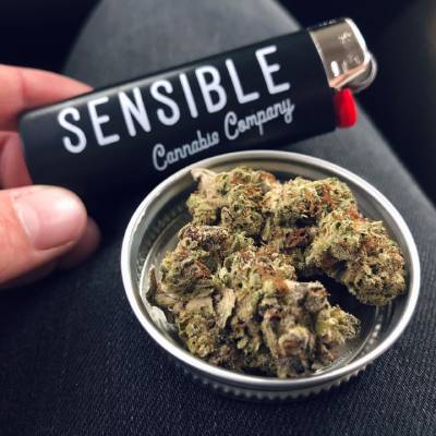 MARIJUANA EXTRACT